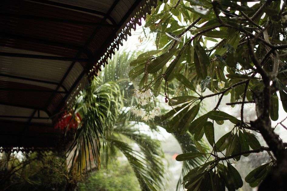 Guayaquil alcanzará 32 °C con lloviznas este jueves 15 de octubre