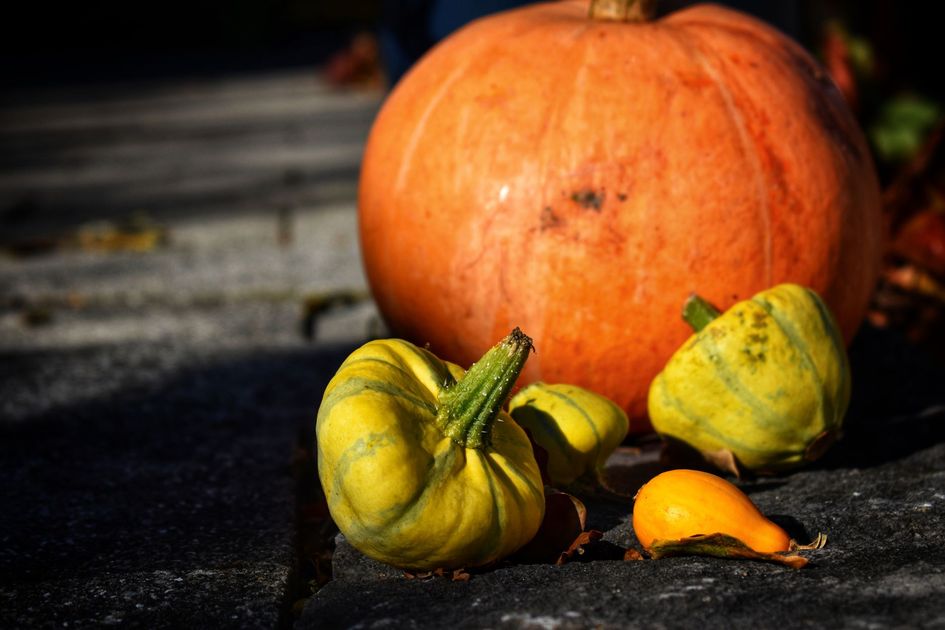Halloween Fest llena de risas y sustos el Parque Samanes este fin de semana