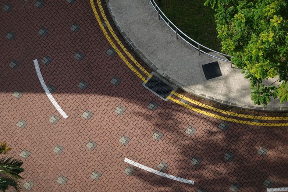 Avenida Vicente Maldonado ya tiene nuevas aceras y árboles en Quisquis