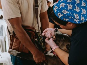 Salud, veterinaria y trámites llegaron a Colinas de la Florida con Aquimismo