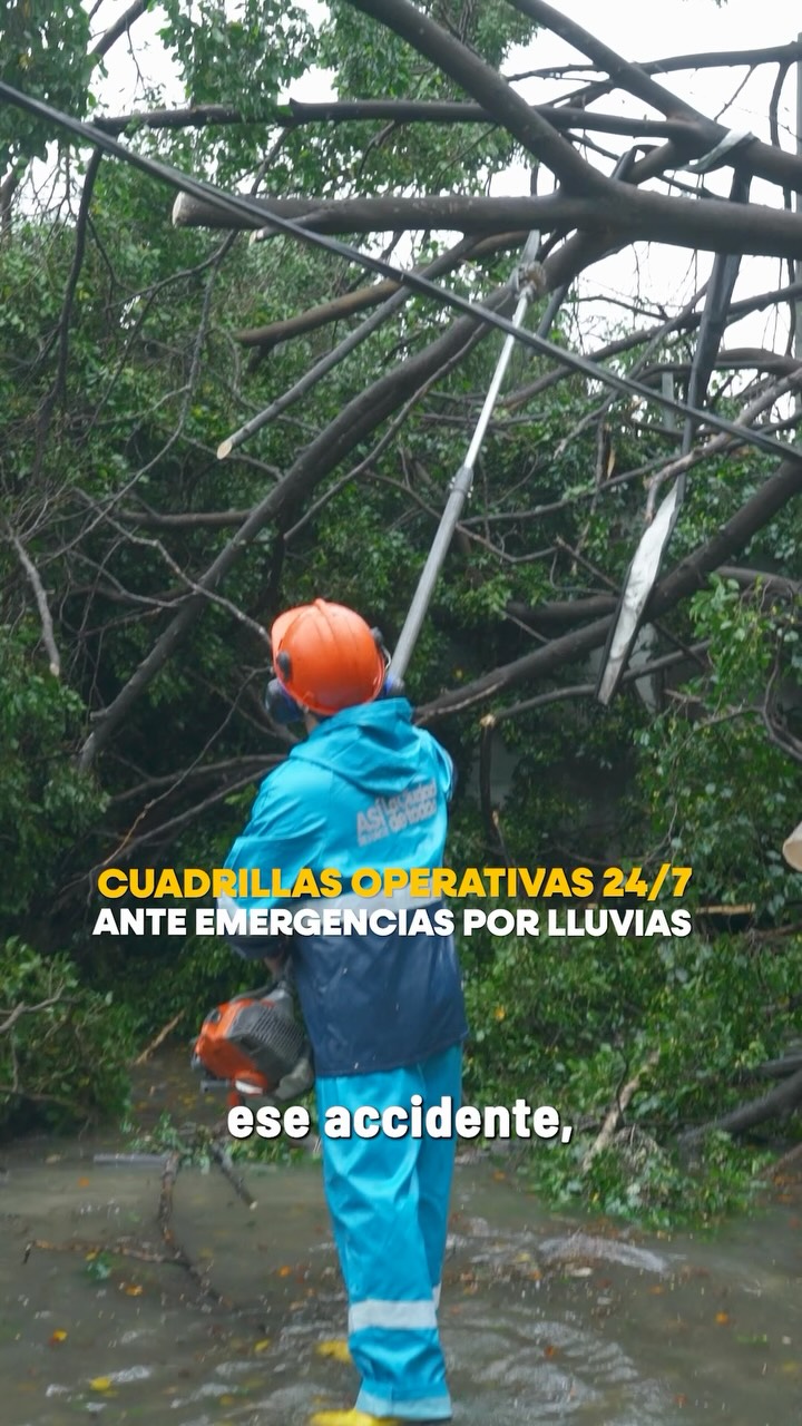 ParquesEP despeja 8 sectores de Guayaquil tras caídas de árboles por lluvias