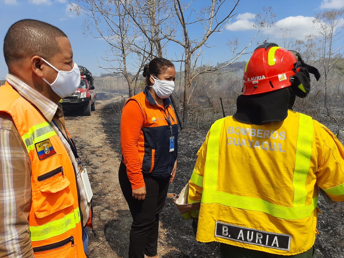 Coordinación de medios aéreos y terrestres para controlar incendios forestales en Guayas