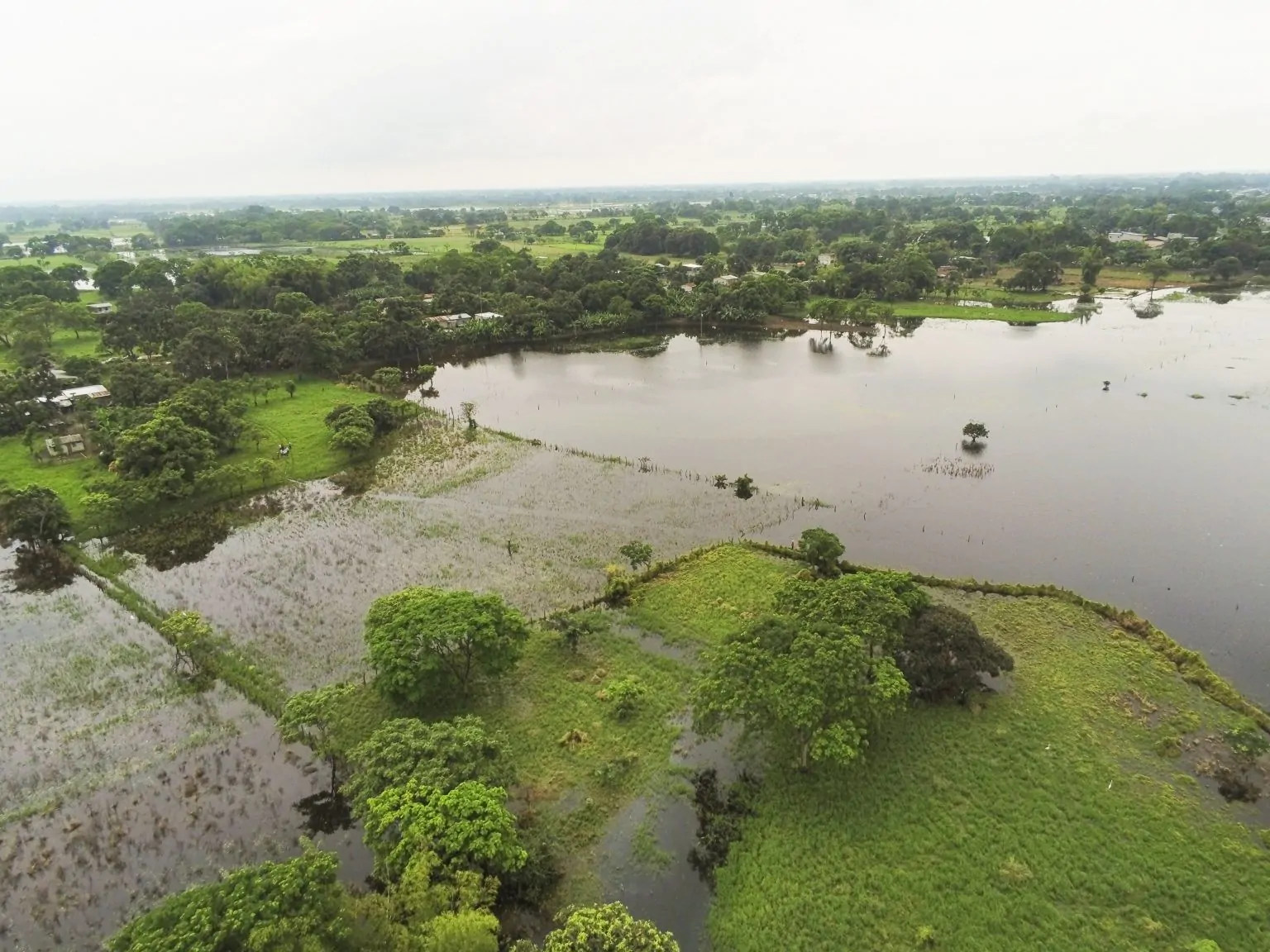 Prefectura del Guayas inicia verificación de Bono Agrícola Solidario en 19 cantones