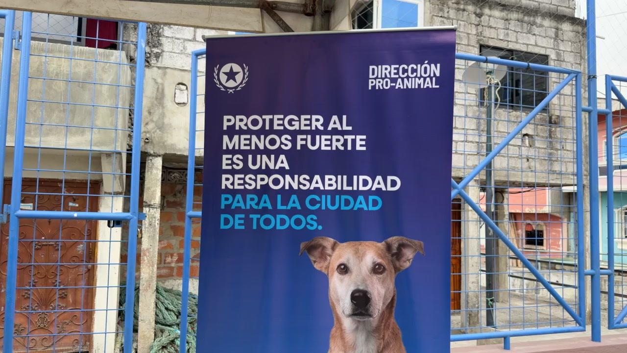 Brigada veterinaria atiende a mascotas en 24 de Mayo y 25 de Julio
