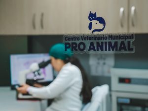 Municipio de Guayaquil atendió a 259 mil mascotas en el primer semestre